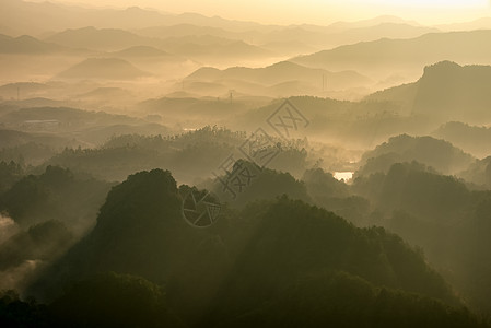 森林度假村山间晨雾背景