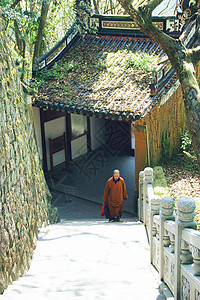 南海佛国普陀山背景图片