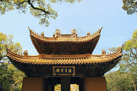 南海佛国普陀山的普济寺背景图片