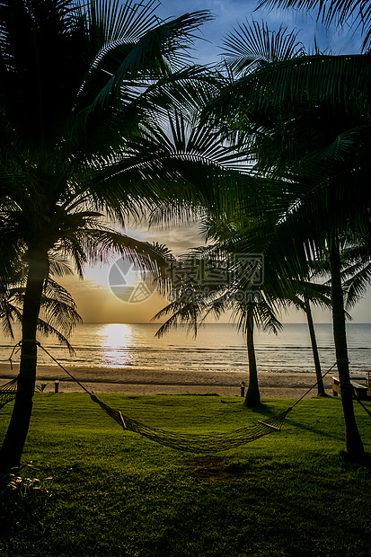 泰国海边椰树林图片
