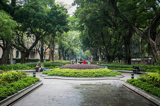 广州沙面街街心公园图片