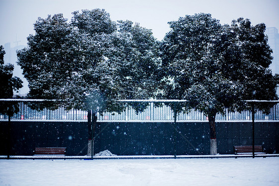 雪景图片