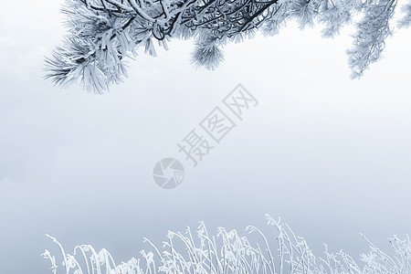 雾凇特写庐山冰雪摄影图片背景