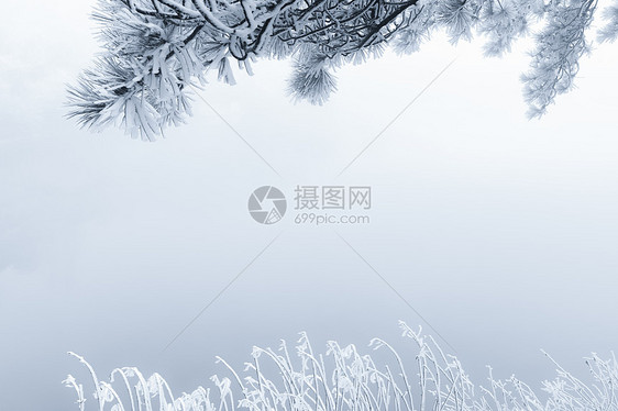 庐山冰雪摄影图片图片