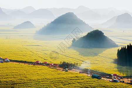 蜂蜜带字素材云南省罗平油菜花晨雾背景