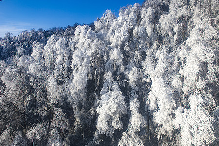 冰天雪地图片