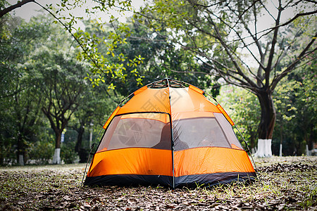 树林中野营的帐篷高清图片