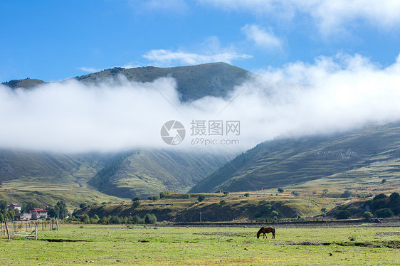 高山白云图片