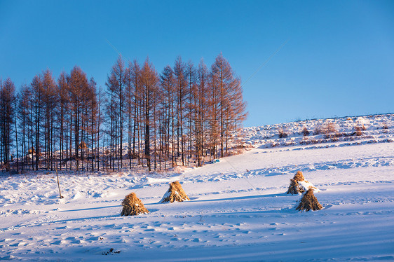 林海雪原图片