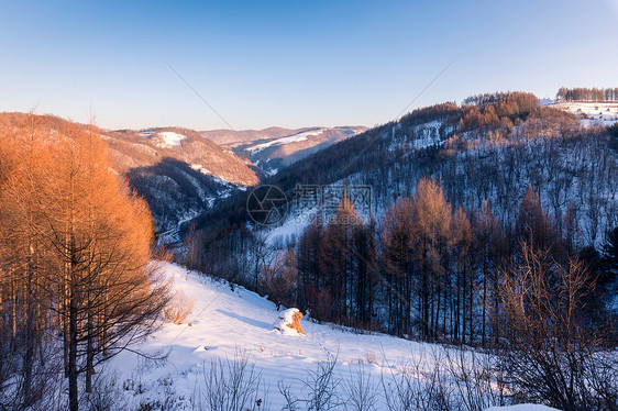 林海雪原图片