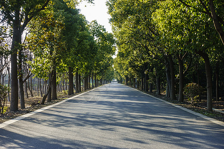 新农村的道路背景图片