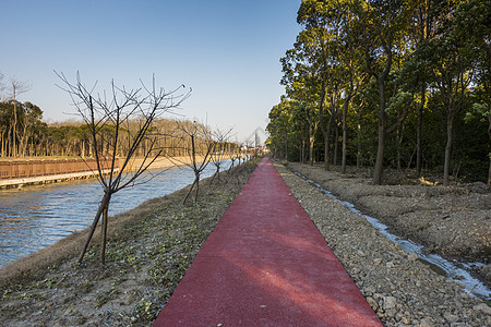 新农村的道路背景图片