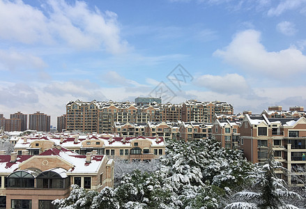 雪后小区的风景背景图片