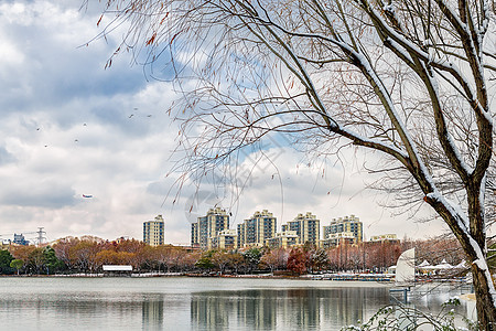 大雪过后的上海城市风格图片