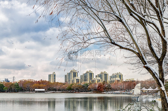 大雪过后的上海城市风格图片