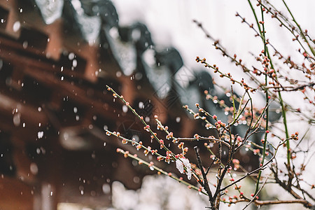冬天中式古典园林中的雪景背景