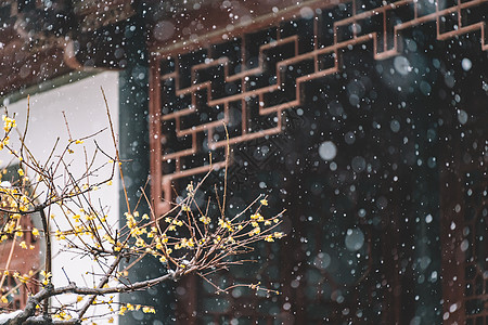 中式古典园林中的雪景图片