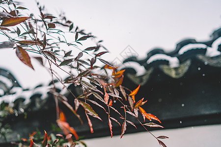 中式古典园林中的雪景高清图片