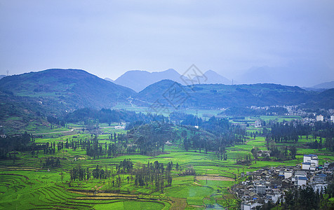 田地素材免费罗平油菜花田背景