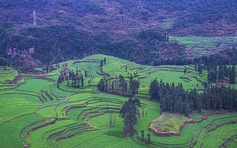 意境山峰罗平油菜花田背景