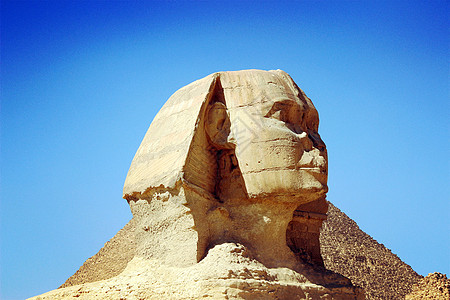 陵寝埃及狮身人面像背景