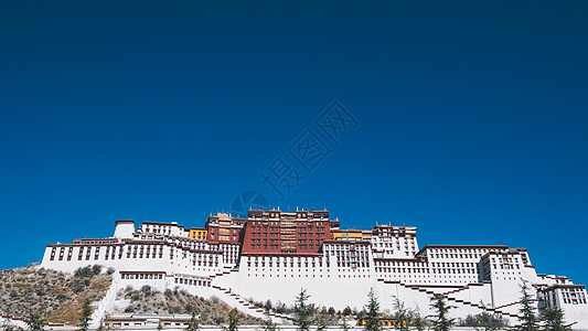 旅游经典西藏布达拉宫背景