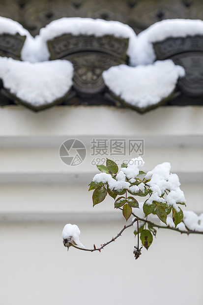 中国古建筑和雪图片