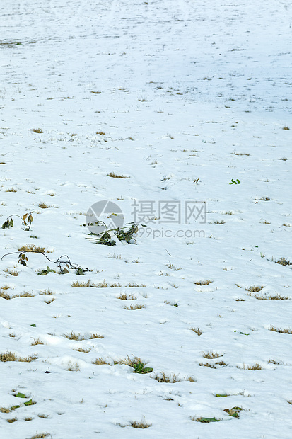 寒冬初春的雪地图片