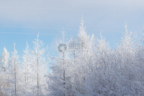 雪景图片