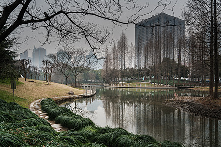 上海塘桥公园水景图片