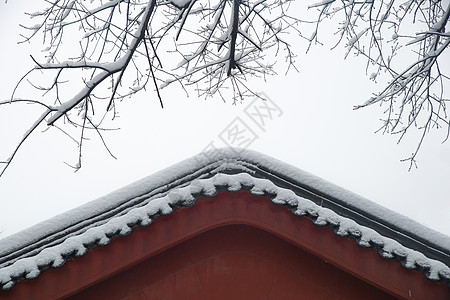 杭州雪景雪中的寺庙背景