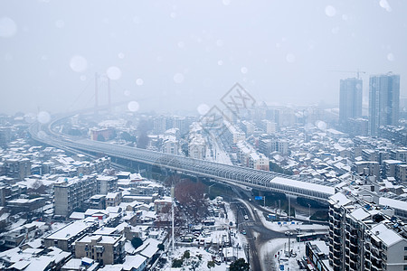 鹦鹉洲长江大桥雪景图片