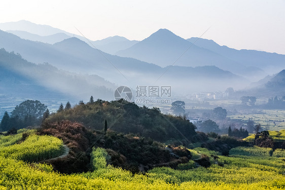 江西婺源江岭油菜花摄影图图片