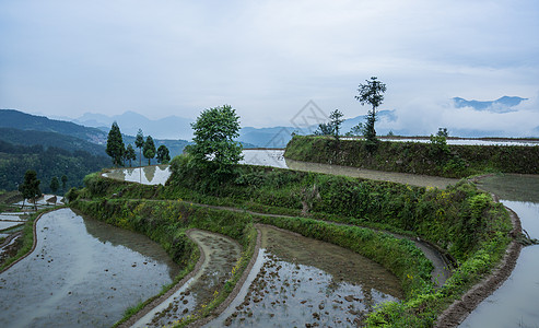 江南梯田春季灌水季节图片