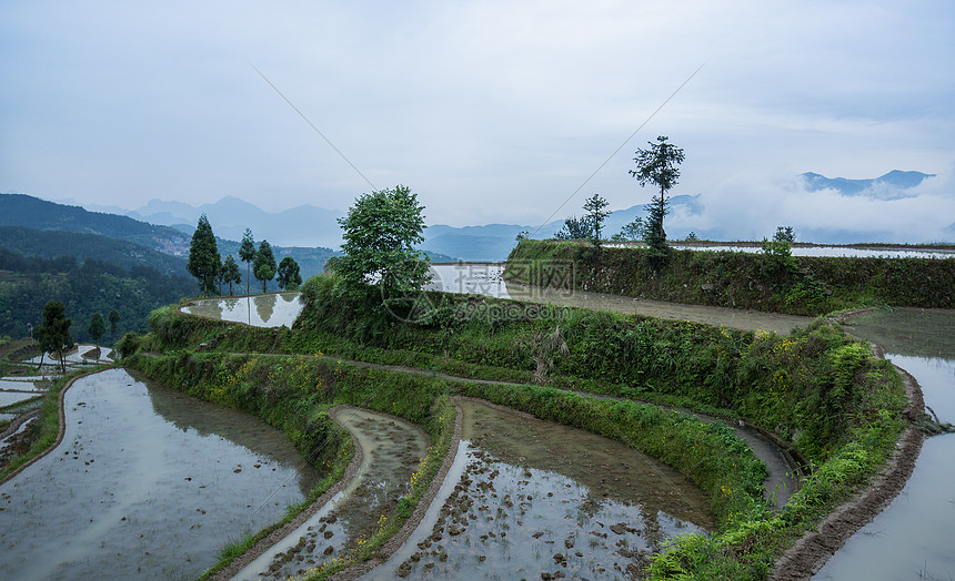 江南梯田春季灌水季节图片