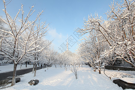 回忆北京的雪高清图片下载 正版图片 摄图网