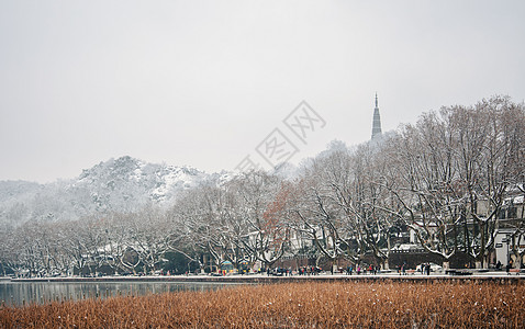 雪后西湖降温保俶塔高清图片