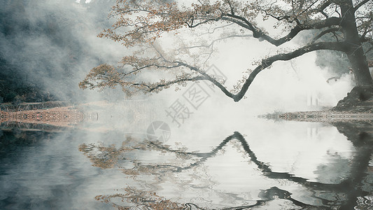 冬景色照片 冬景色背景 冬景色摄影图片下载 摄图网
