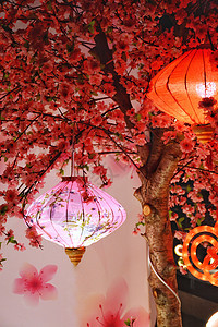 春节新年灯笼图片
