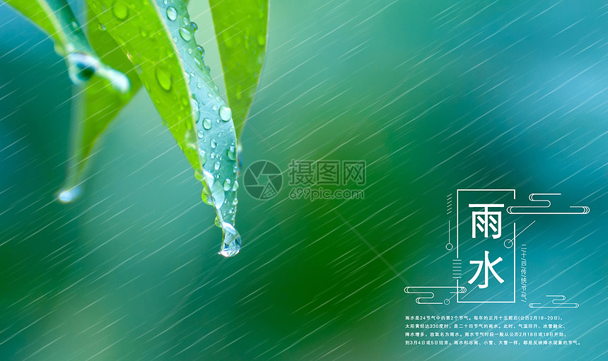 春天的雨水图片