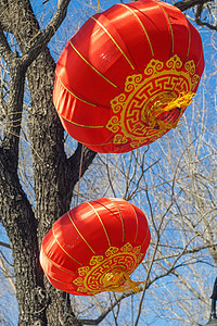 年味儿的红灯笼装饰背景图片