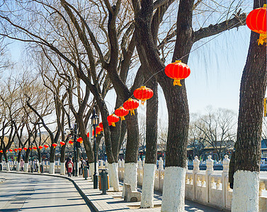 年味儿的红灯笼装饰背景图片