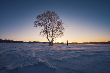 孤独的一棵树雪地上一个人的背影背景