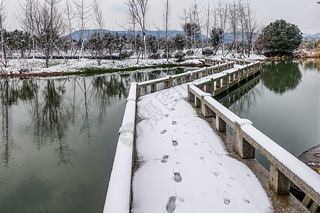 雪中浙江海宁盐官古城景区图片