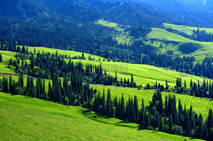 新疆最新新闻体育直播呈现青少年足球联赛的激情与希望