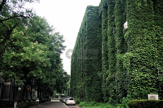 北京大学图片