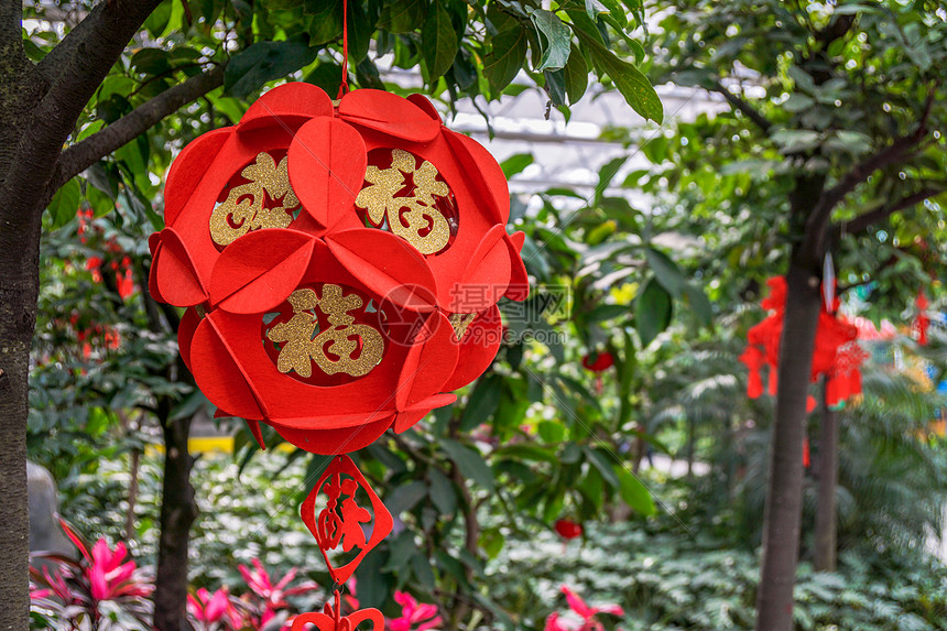 植物园里的年味儿灯笼图片