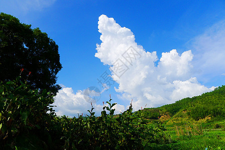 田园风光背景图片