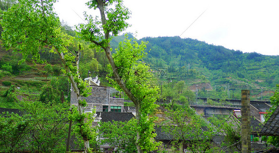 春到山村图片