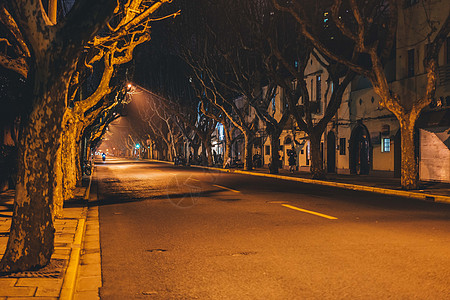 城市行道树城市夜晚道路背景